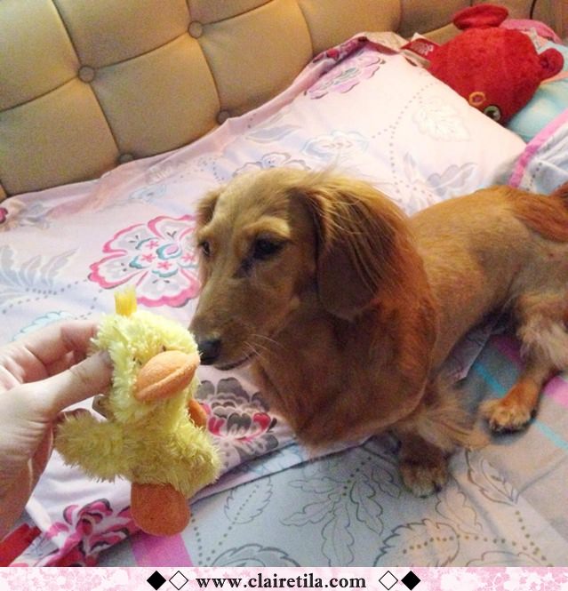 20251024-od95t 20251024-od95t