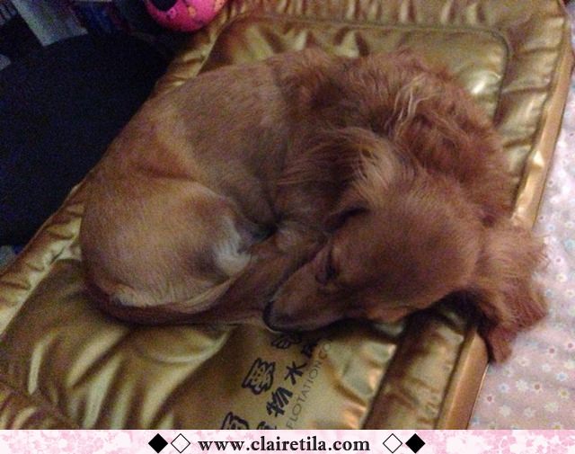 20251024-oy0py 20251024-oy0py