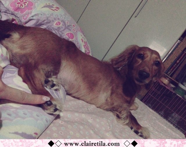 20251024-pth5g 20251024-pth5g