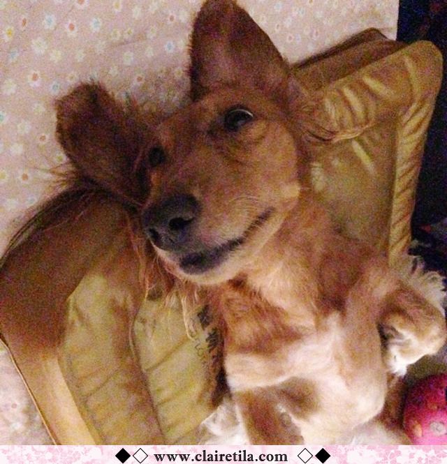 20251024-ruuzl 20251024-ruuzl