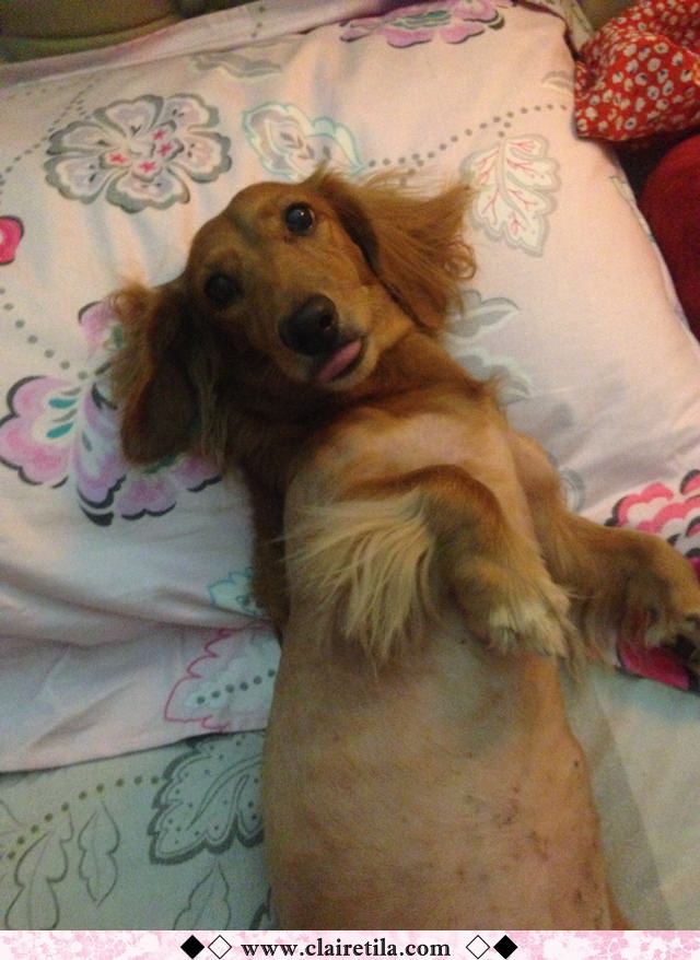 20251024-suncl 20251024-suncl