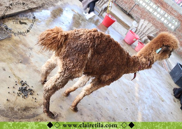 20251024-udxah 20251024-udxah