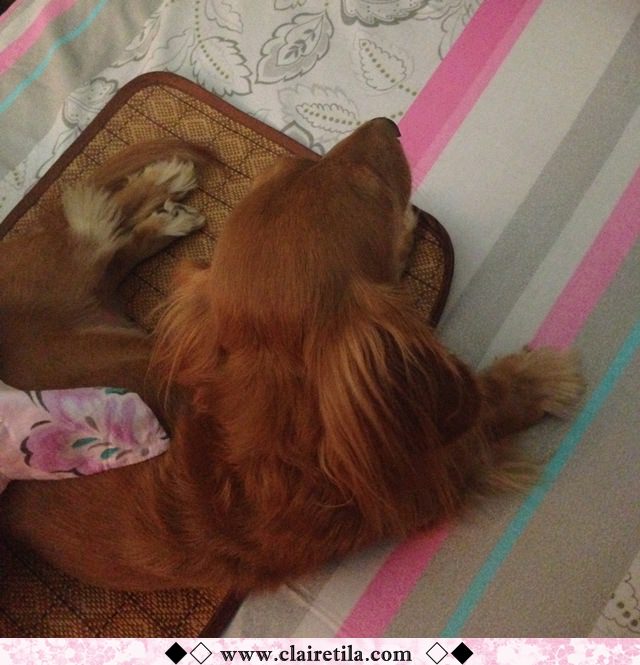 20251024-uvajc 20251024-uvajc