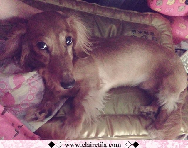 20251024-v0roz 20251024-v0roz