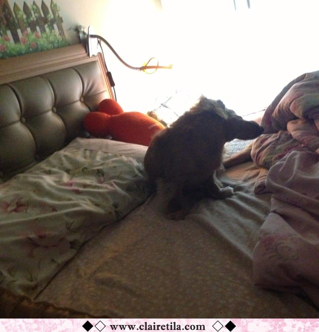 20251024-vdq9w 20251024-vdq9w