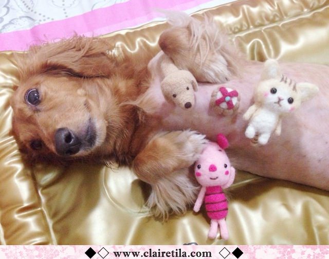 20251024-yq5kz 20251024-yq5kz