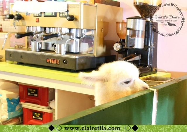 20251024-z068c 20251024-z068c