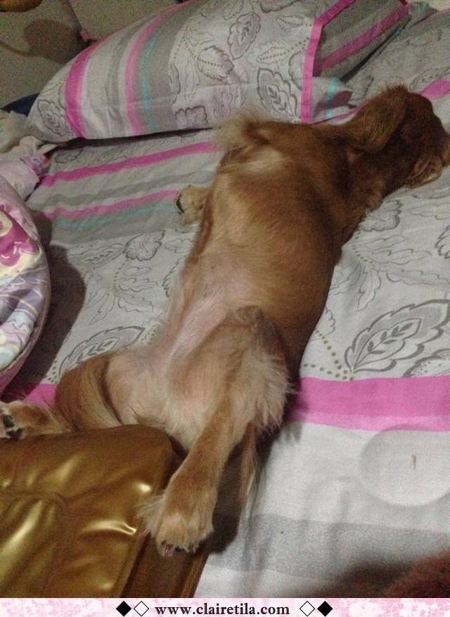 20251024-zsyyp 20251024-zsyyp