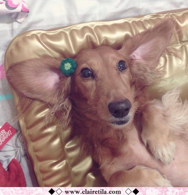 20251024-00qkt 20251024-00qkt