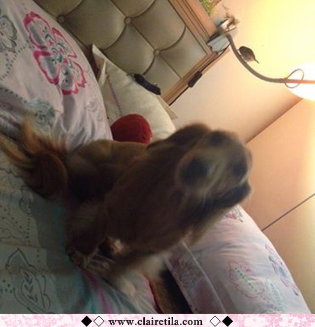 20251024-01tb4 20251024-01tb4