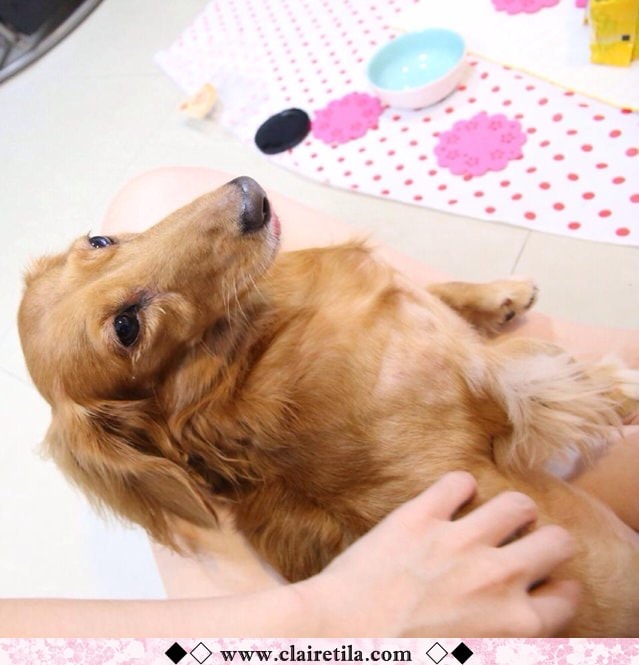 20251024-1zttt 20251024-1zttt