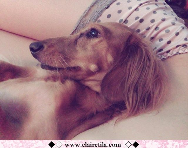 20251024-3b9dt 20251024-3b9dt