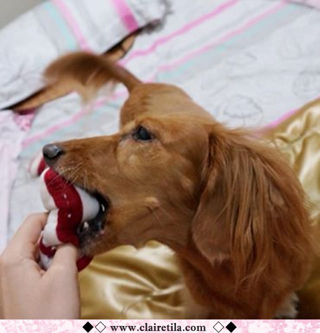 20251024-51ynu 20251024-51ynu