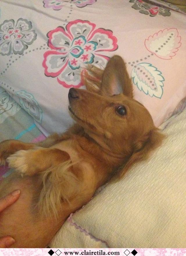 20251024-8z4jh 20251024-8z4jh