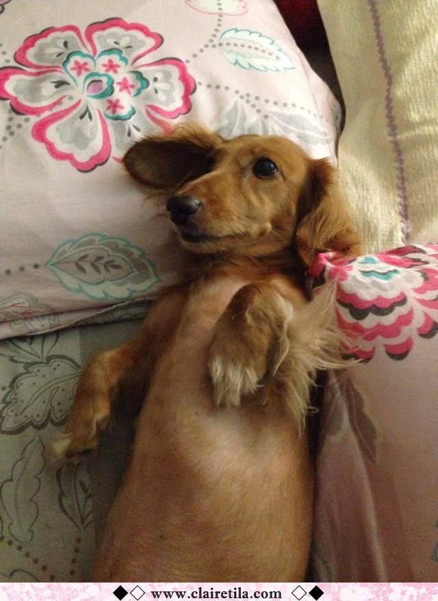 20251024-9t7t6 20251024-9t7t6