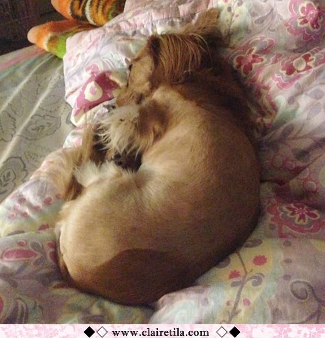 20251024-dsq2p 20251024-dsq2p