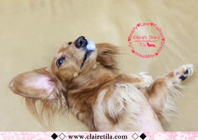 20251024-jktb0 20251024-jktb0