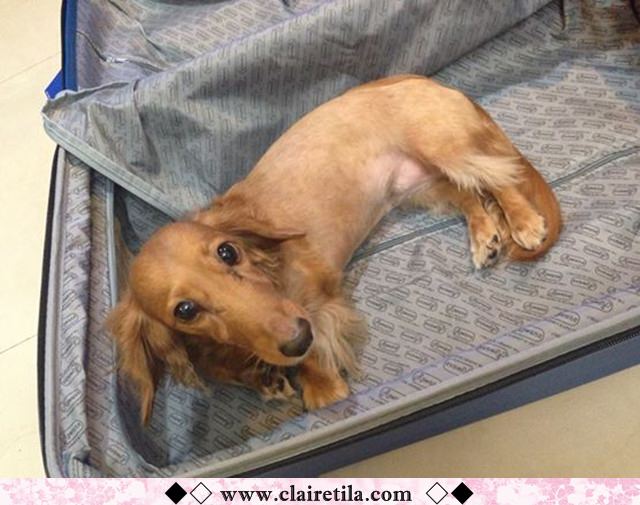 20251024-l9xo9 20251024-l9xo9