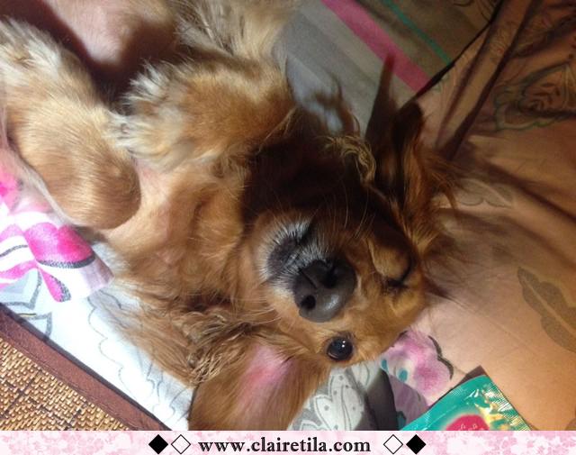 20251024-nk66h 20251024-nk66h