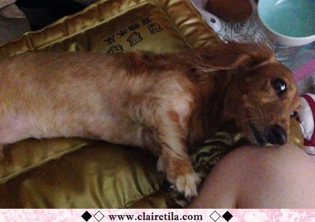 20251024-sschs 20251024-sschs