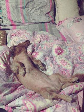 20251024-txalx 20251024-txalx