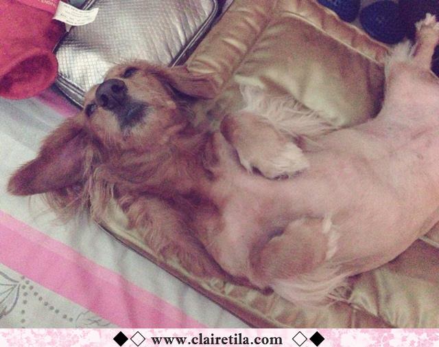 20251024-z7coy 20251024-z7coy