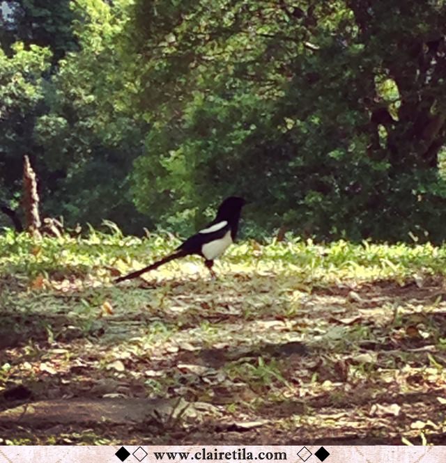 20251024-efrpl 20251024-efrpl