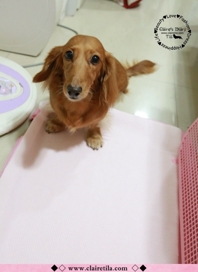 20251024-gu2o3 20251024-gu2o3