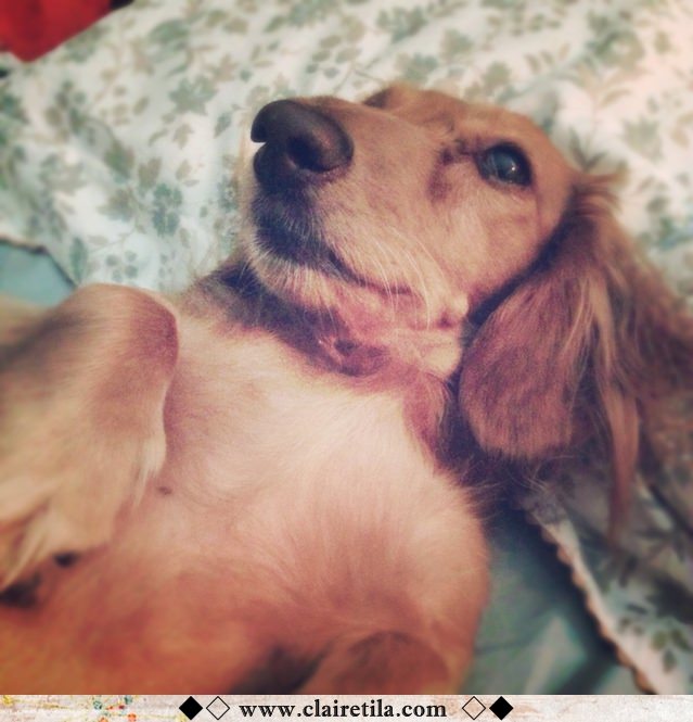 20251024-0iwxj 20251024-0iwxj