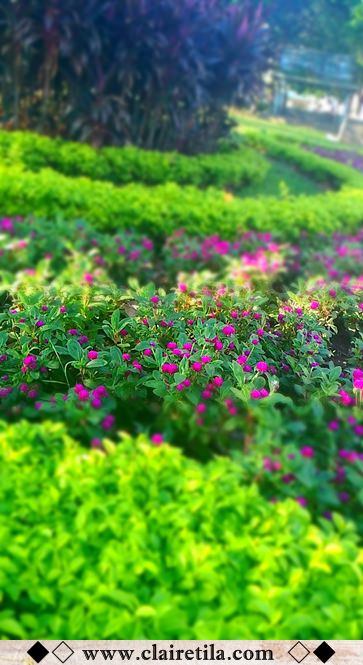 20251024-2grv6 20251024-2grv6