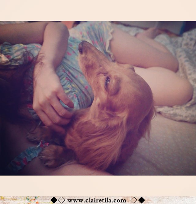 20251024-5ohaj 20251024-5ohaj