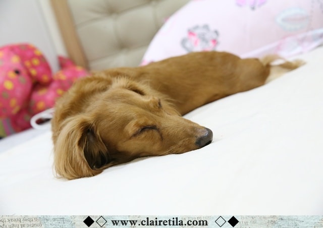 20251024-8sb7b 20251024-8sb7b