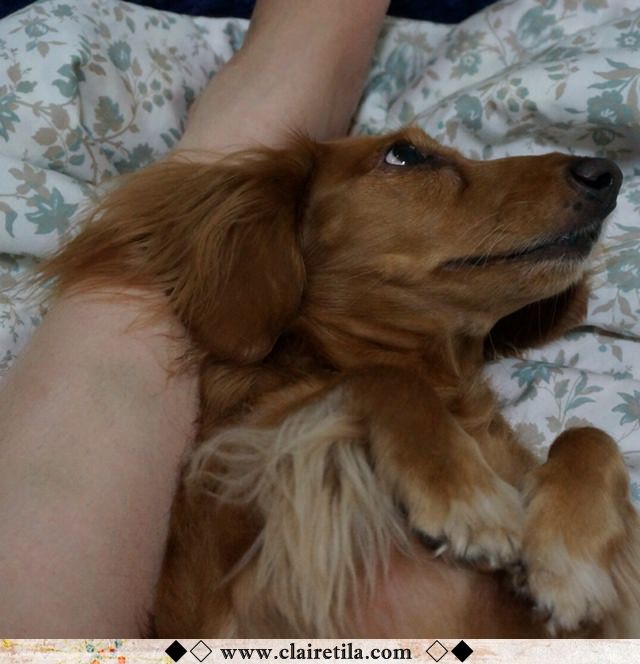 20251024-9wsn4 20251024-9wsn4