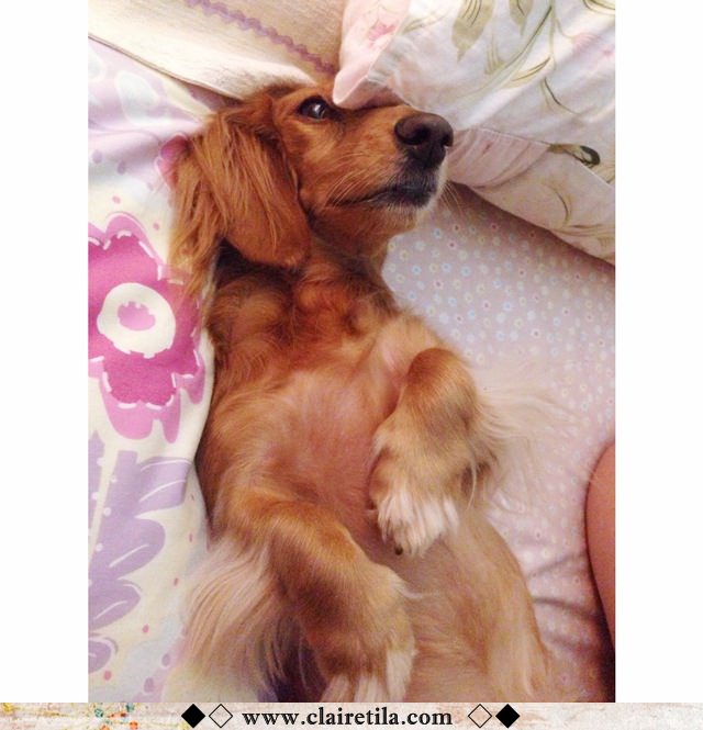 20251024-aey0y 20251024-aey0y