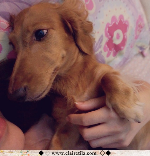 20251024-btspu 20251024-btspu