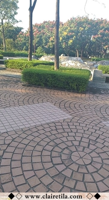 20251024-ewpsv 20251024-ewpsv