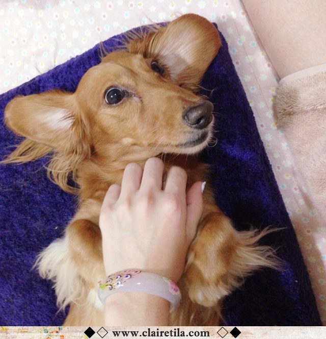 20251024-fdtiz 20251024-fdtiz