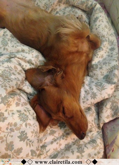 20251024-gjp0f 20251024-gjp0f