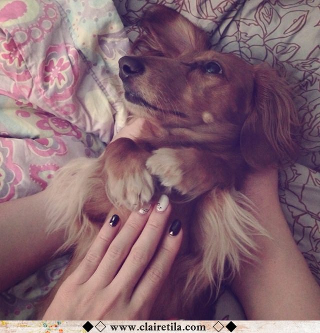 20251024-hs12w 20251024-hs12w