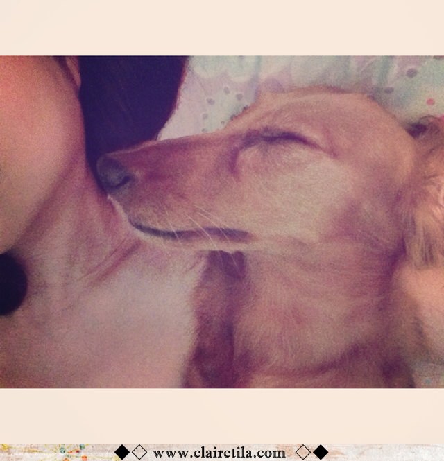 20251024-jo6nl 20251024-jo6nl