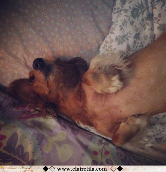 20251024-kb0h6 20251024-kb0h6