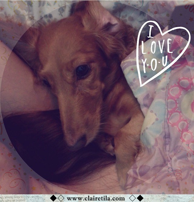 20251024-m19v9 20251024-m19v9