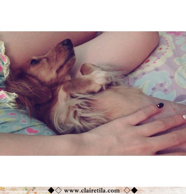 20251024-otirt 20251024-otirt