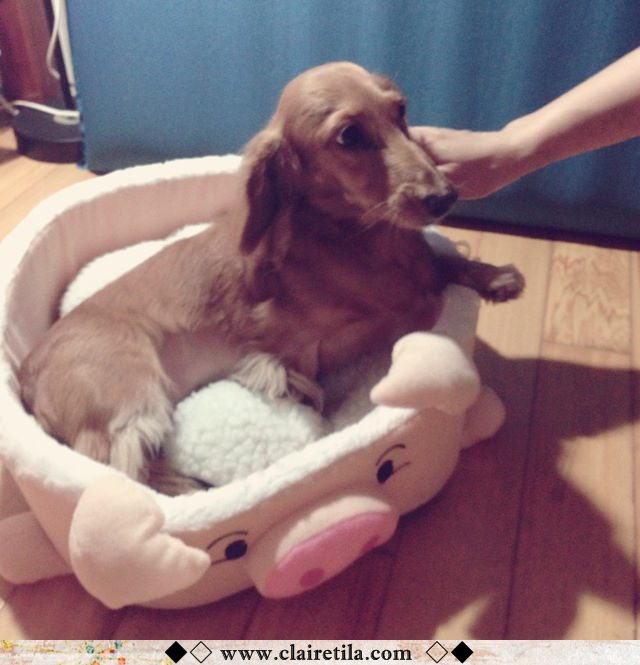 20251024-tni8f 20251024-tni8f