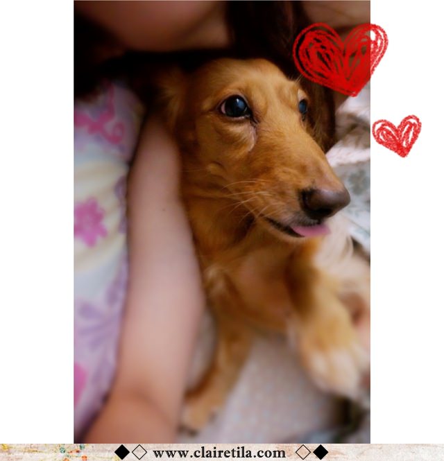 20251024-v6xjk 20251024-v6xjk