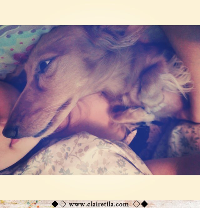 20251024-xei65 20251024-xei65