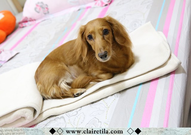 20251024-xqdb7 20251024-xqdb7