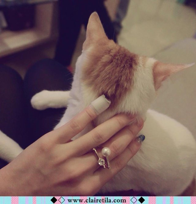 20251024-gcafk 20251024-gcafk