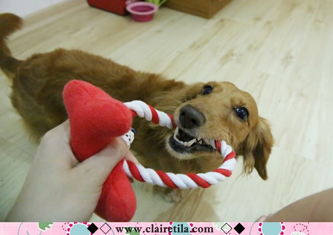 20251024-ifo9r 20251024-ifo9r