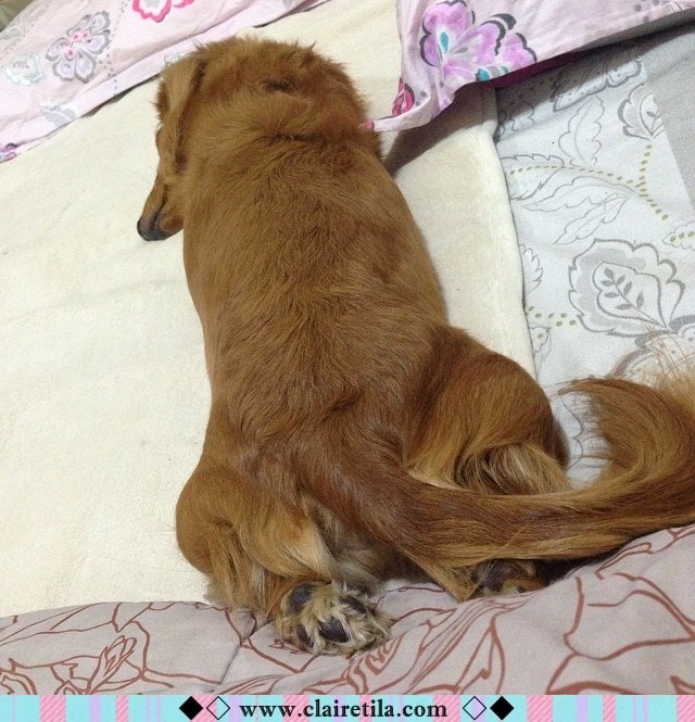 20251024-27hz8 20251024-27hz8